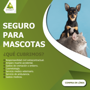 SEGURO PARA MASCOTAS